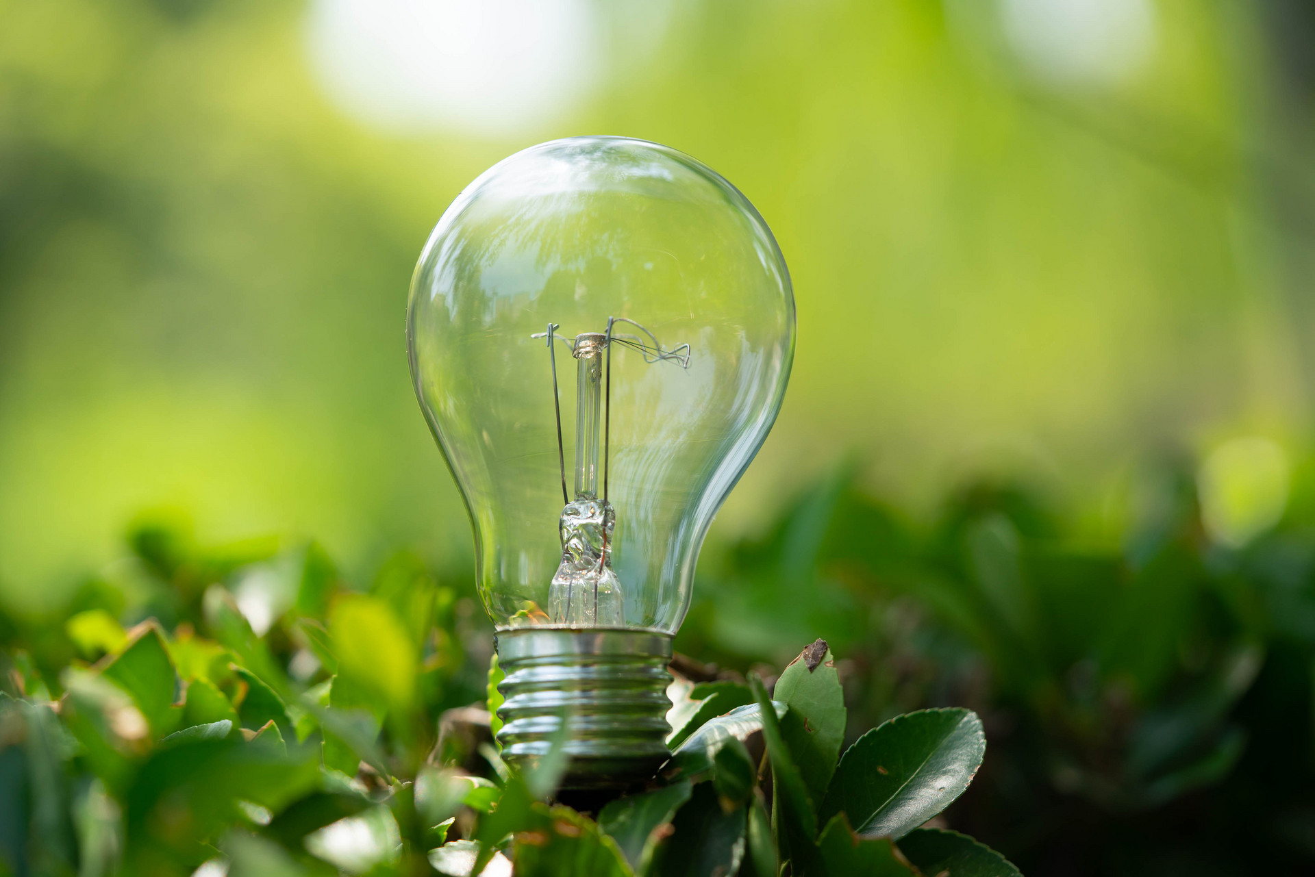 Energy Management & Utilization